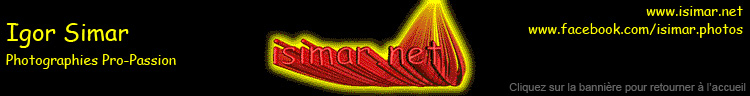 Logo_ISIMAR : retour à la page d'accueil